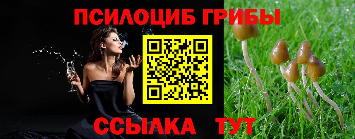 Галлюциногенные грибы мухоморы Южноуральск